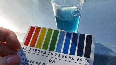 환경실천연합회, 도심 하천 수질 보호 위한 시민참여 모니터링 활발