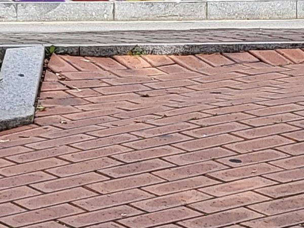 20220914_122424.jpg