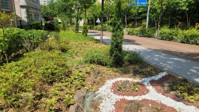 기흥구, 보라동 완충녹지 정원으로 꾸며