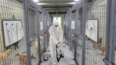경기도, 도 전체 65개 동물보호소 대상 조류인플루엔자 일제검사 추진