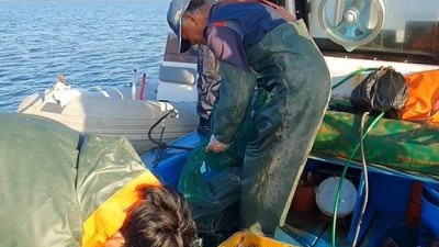 경기도, 가을철 성육기 어족자원 보호 위해 불법어업 합동단속