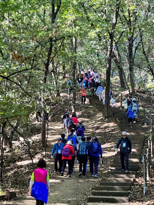 수리산자락걷기2.jpeg