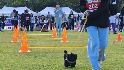 반려인·반려동물 모여라…안양시, 18일 ‘반려동물 사랑나눔축제’ 열어