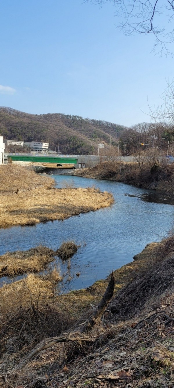 복하천(지방하천).jpg