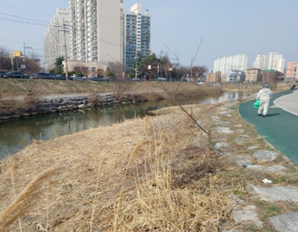 1.+용인시+경안천+조치+전.PNG