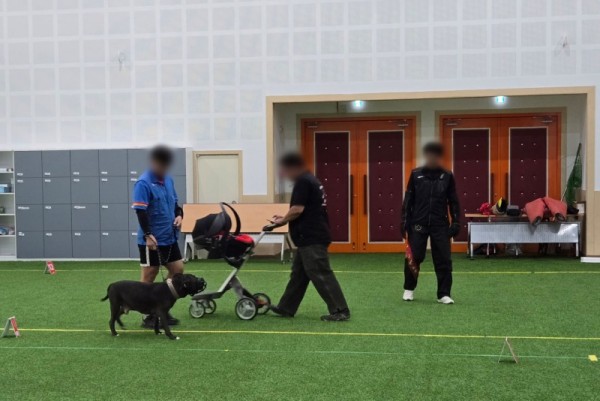 맹견+기질평가+(1).jpg