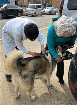 반려동물+공수의+광견병+접종사진.png