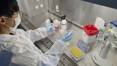 경기도, 강릉 아프리카돼지열병 역학농가 ‘전두 음성’ 판정… 설 명절 앞두고 돼지고기 수급 안정 총력 대응