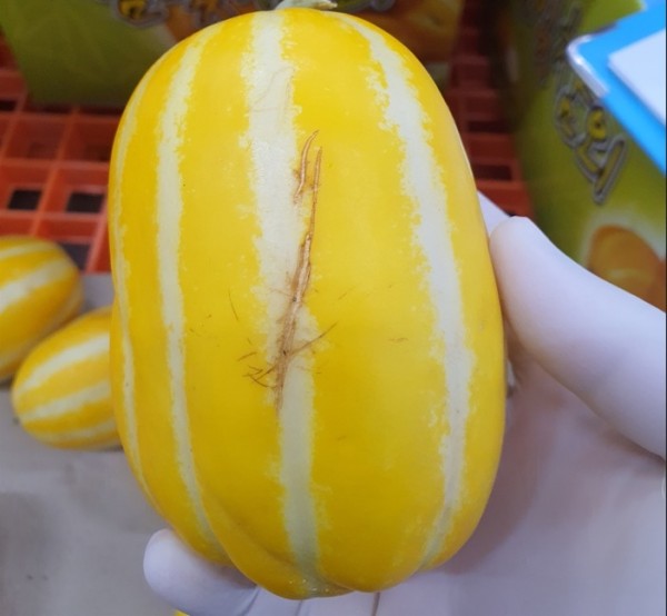 아까운농산물+(1).jpg